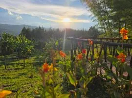 Finca La Preciosura