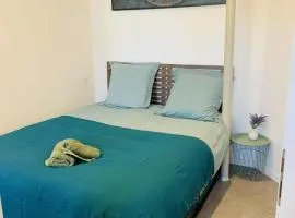 Cosy T2 Centre ville RDC