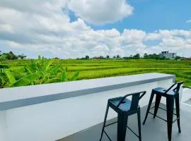 New Villa 2 Bedroom in Canggu