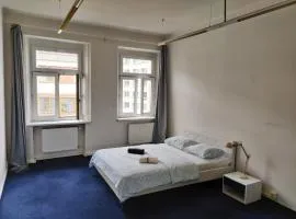 Zizkov Room - City Center Near By