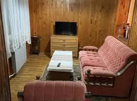 Yellow House