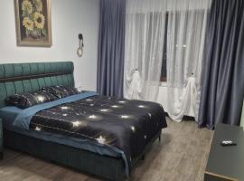 Carul cu Flori、クラヨーヴァのB&B