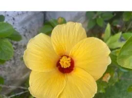 Philippine Mountain Eco Resort