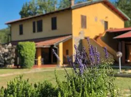 Agriturismo Santa Lorica - Sassetta