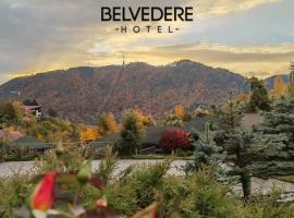 Hotel Belvedere, отель в Брашове