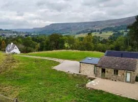 Neddy Meadow