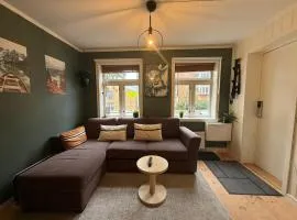 Rustic Retreat Apartment, Central & free parking !