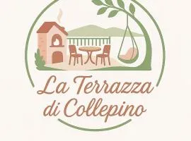 La Terrazza di Collepino
