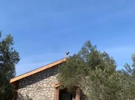 Ayvalik İnfinity Yaşam Vadisi