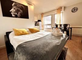 Lion - Centre-ville - MA CONCIERGERIE, hotel in Vesoul