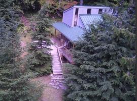 Private Cozy 3 BR Cabin near Mt Rainier, Sunrise & Crystal Mt Hiking, hotel in Greenwater