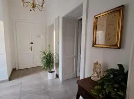 Apartman Soda