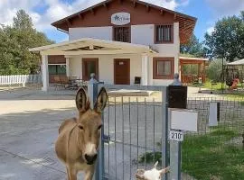 LE CERQUE