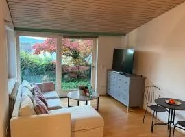 Schöne Ferienwohnung mit Seeblick