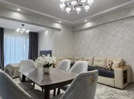 Zara premium apartment 66
