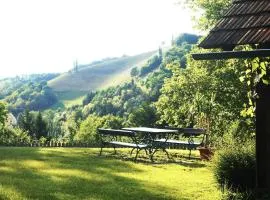 Ferienwohnungen Karin am Seggauberg