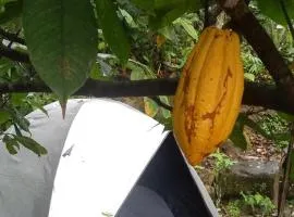 Camping - Recanto do Leâo