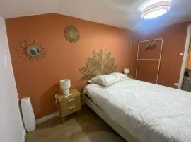 Appartement chaleureux au cœur de la Bresse