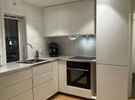 Northern Lights View Beautiful Berg