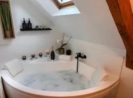 Les Libellules Appartement avec baignoire spa à Lanvallay