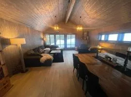 Shielded Cabin on Norefjell