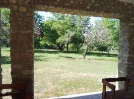 El morenito