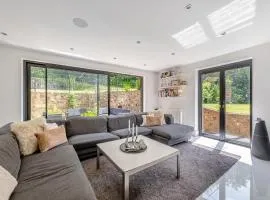 Fir Trees - Uk49994