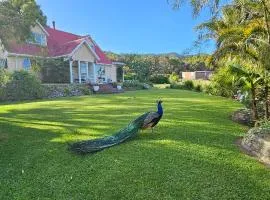 Soggy Bottom Farm House, Sea views and peacocks