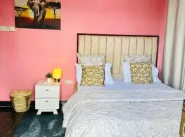 Central Beautiful & peaceful Private bedroom AC, Very fast WiFi 1