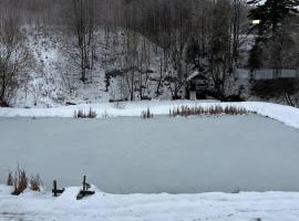 Те Село, hotel i Velyka Volosyanka