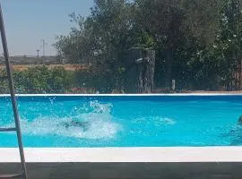 Finca el abuelo