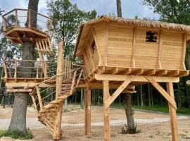 Treehouses Karlov pod Pradědem