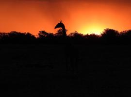 LoWes Africa, hotel in The Waterberg Biosphere