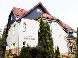 Ferienapartments in Schierke am Brocken direkte Wanderweglage, ξενοδοχείο σε Wernigerode