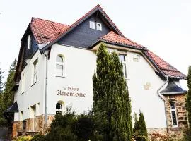 Ferienapartment Rorik, Schierke am Brocken