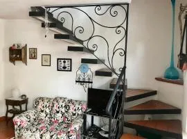 Grazioso appartamento con ingresso indipendente - S178