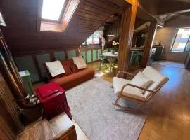 Renovated Mountain View Appartment