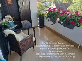 Harz-Fewo-Wolf