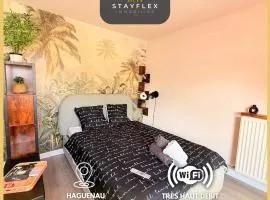 L'escale de Haguenau - Cosy dans le centre Haguenau