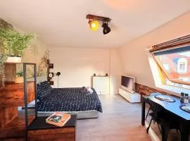 L'escale de Haguenau - Cosy dans le centre Haguenau