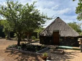 Finca de la Montaña - Cabaña