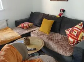 Vido
