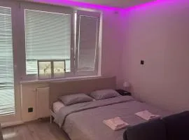 Light apartment near City Center with easy transport access