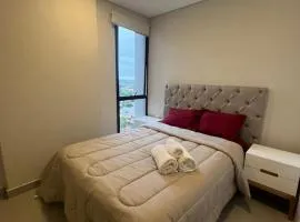 Stylish 2 Bedroom Apt In Molas Lopez