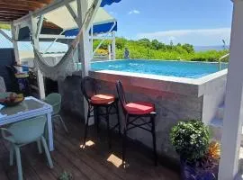 Gîtes Capra Pomme Surette piscine et spa