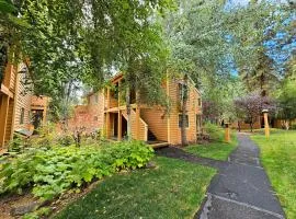 Delightful McCloud condo