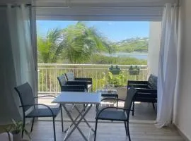 Grand Studio Mont Vernon Saint-Martin