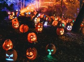 Spooktacular Halloween Shannon Estuary Glamping Budget-Sustainable-Rustic-Countryside Holiday Accommodation, khu glamping ở Effernan