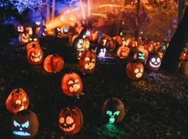 Spooktacular Halloween Shannon Estuary Glamping Budget-Sustainable-Rustic-Countryside Holiday Accommodation