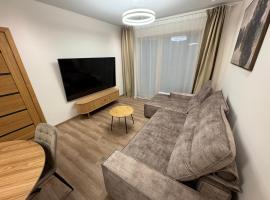 Lovely Flat with Great Central Location Kaunas, hotel in Kaunas